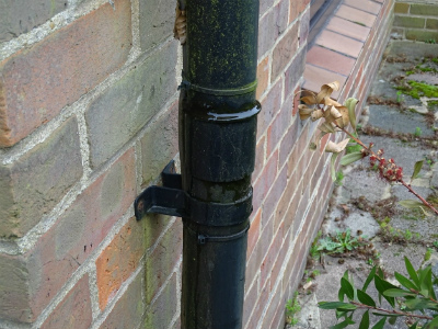 Tring Case Study Image 4