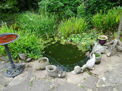 Wheathampstead Road Case Study Image 2