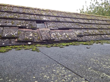roof