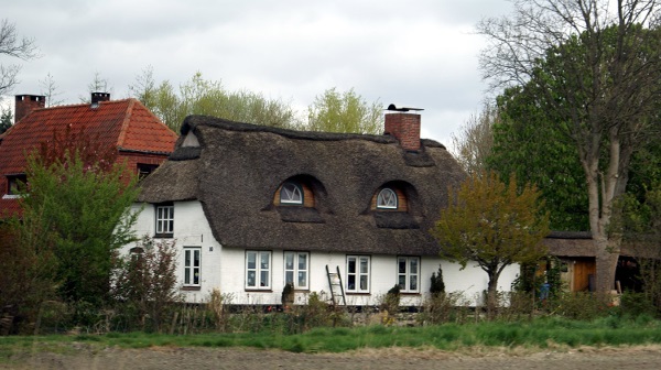 Thatched Roof 3