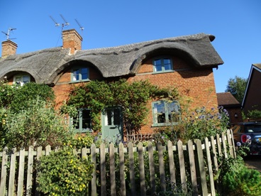 thatched roof house