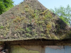 thatched roofs thatched roofs