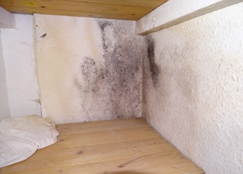 Damp coming through wall into child’s bedroom cupboard, due to defective timber and brickwork in rear gable.
