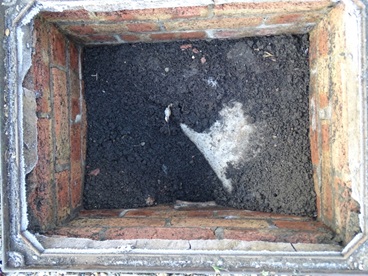 Main drain to property filled with soil. These drains needed testing further down the drive trees had been planted on top of the drain run.