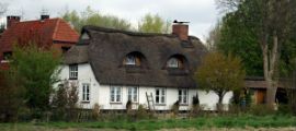 White property with thatched roof