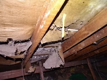 1 - Sarking felft in roof