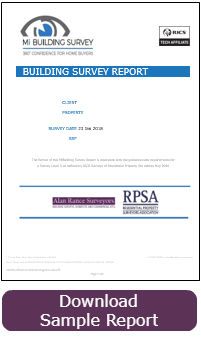 Building Survey Report