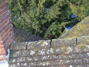 Re point Ridge Tiles