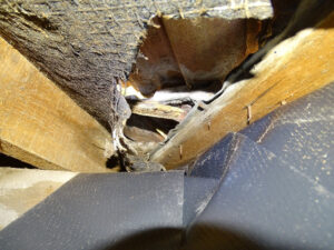 Joists crumbling away in cellar 2