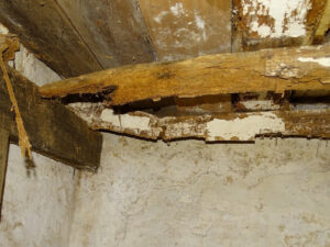 Joists crumbling away in cellar
