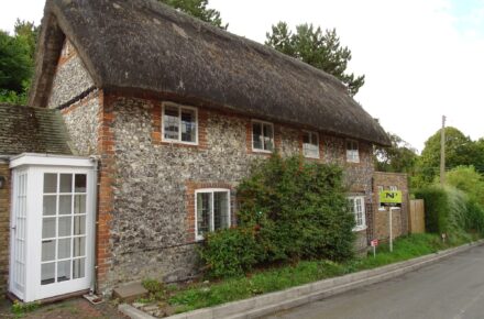 Thatched House For Sale
