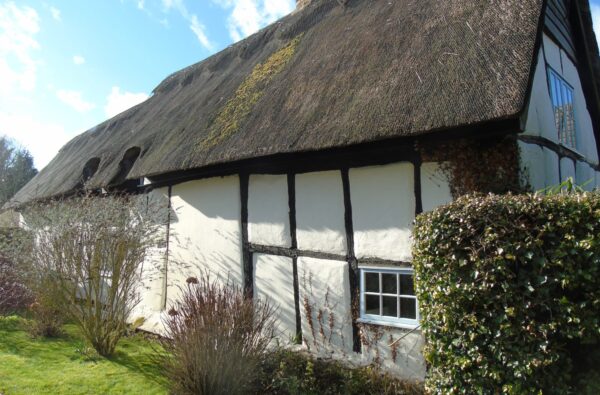 Thatched Cottage