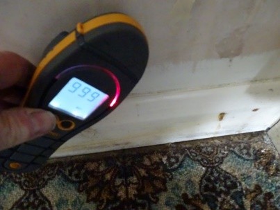 Alan Rance Surveyor - Milton Keynes - Wet Internal Walls